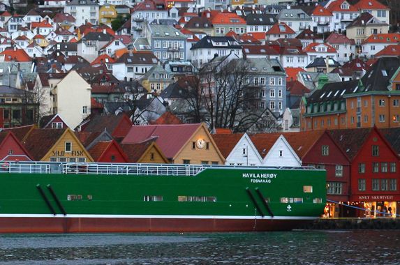 Tettstedet Fosnavåg fikk sin bystatus for å kunne vise frem kjennemerket og kvalitetsmerket «Fosnavåg» på skipene sine. Til sammen har Fosnavåg-medlemmene i Rederiforbundet rundt 60 skip og nærere 2500 ansatte. Foto: Torill Myren